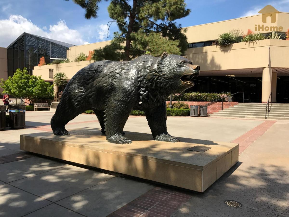 "Resort Style Amenities Walk To Ucla" W Pool & Parking B2 Лос Анджелис Екстериор снимка